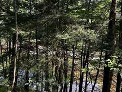 River Road Jamaica VT 05343