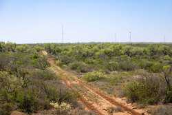 TX