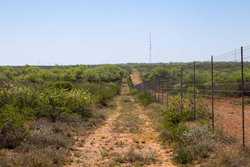 TX