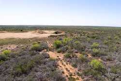 TX