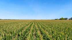 4669 Fm 973 Taylor TX 76574