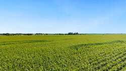 4669 Fm 973 Taylor TX 76574