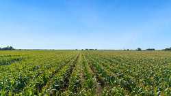 4669 Fm 973 Taylor TX 76574