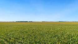 4669 Fm 973 Taylor TX 76574