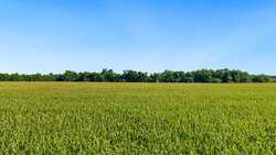 4669 Fm 973 Taylor TX 76574