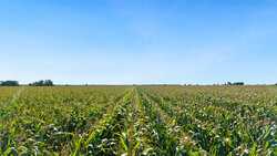 4669 Fm 973 Taylor TX 76574