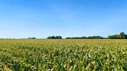 4669 Fm 973 Taylor TX 76574