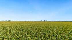 4669 Fm 973 Taylor TX 76574