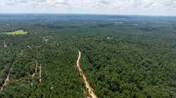 250 Private Road 8817 Athens TX