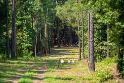 250 Private Road 8817 Athens TX