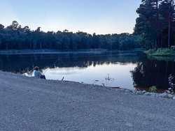 250 Private Road 8817 Athens TX