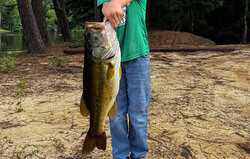 250 Private Road 8817 Athens TX