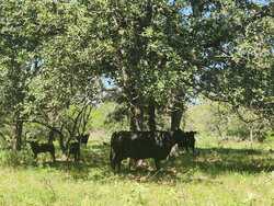 6888 Old Luling Road Seguin TX