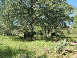 6888 Old Luling Road Seguin TX