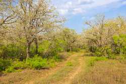 6888 Old Luling Road Seguin TX