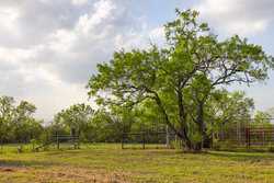 6888 Old Luling Road Seguin TX