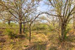 6888 Old Luling Road Seguin TX