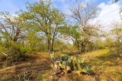6888 Old Luling Road Seguin TX