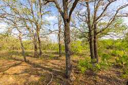 6888 Old Luling Road Seguin TX