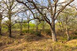 6888 Old Luling Road Seguin TX