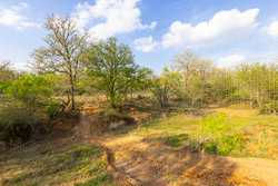 6888 Old Luling Road Seguin TX