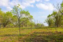 6888 Old Luling Road Seguin TX