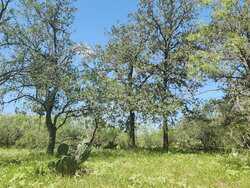 6888 Old Luling Road Seguin TX