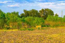 3301 Cr 424 Taylor TX 76574