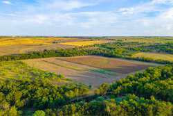 3301 Cr 424 Taylor TX 76574