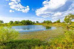 3301 Cr 424 Taylor TX 76574