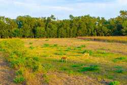 3301 Cr 424 Taylor TX 76574