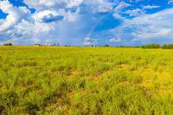 3301 Cr 424 Taylor TX 76574