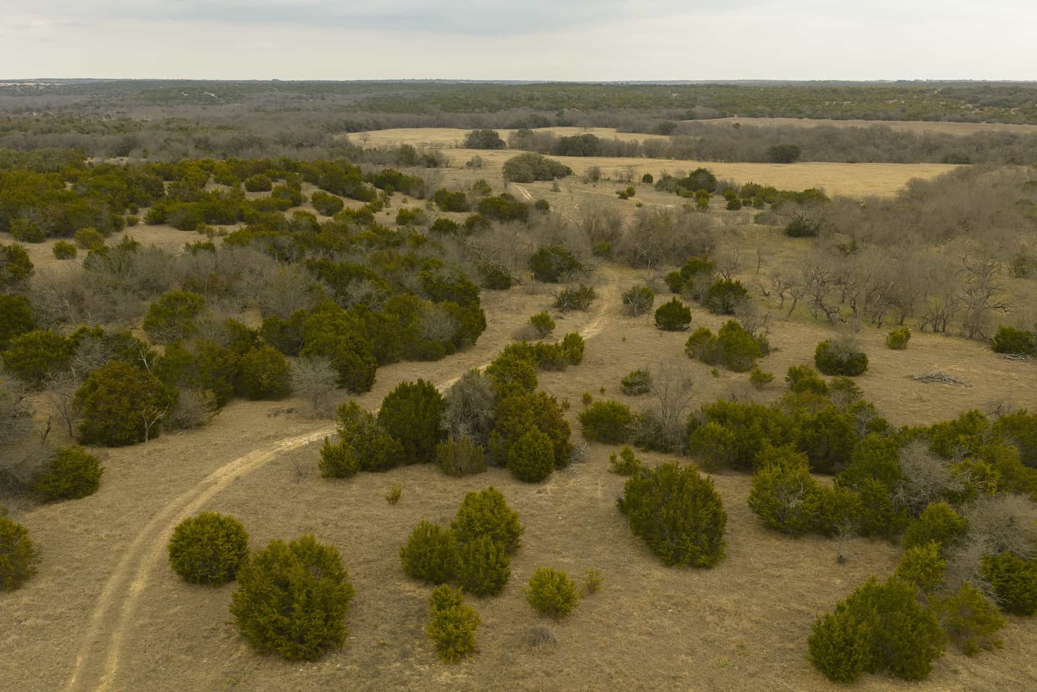 2292 County Road 396 Hamilton TX 76436
