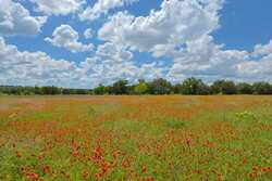 2292 County Road 396 Hamilton TX 76436