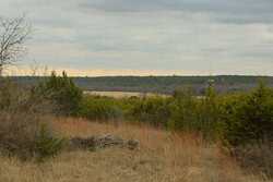 2292 County Road 396 Hamilton TX 76436