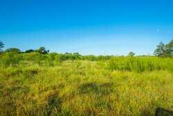 Seguin TX