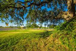 Seguin TX