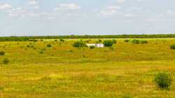 Creek 1436 La Pryor TX 78872