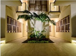 Thirty | Six - Paradise Island New Providence Paradise Island BS