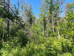 11-04 Fenderson Road Ashland ME 04732