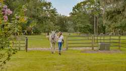 165 Golda Drive Ridgeland SC 29936