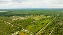 Crystal City TX