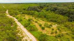 Crystal City TX
