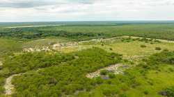 Crystal City TX