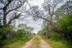Crystal City TX