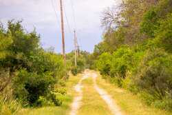 Crystal City TX