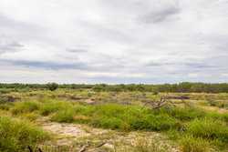 Crystal City TX