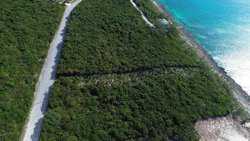 Eleuthera BS