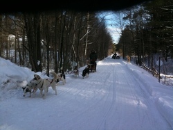 Wolfeboro NH