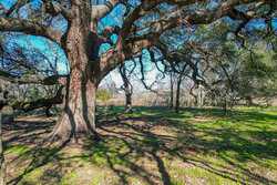 Tbd Cr 230 Harwood TX 78632